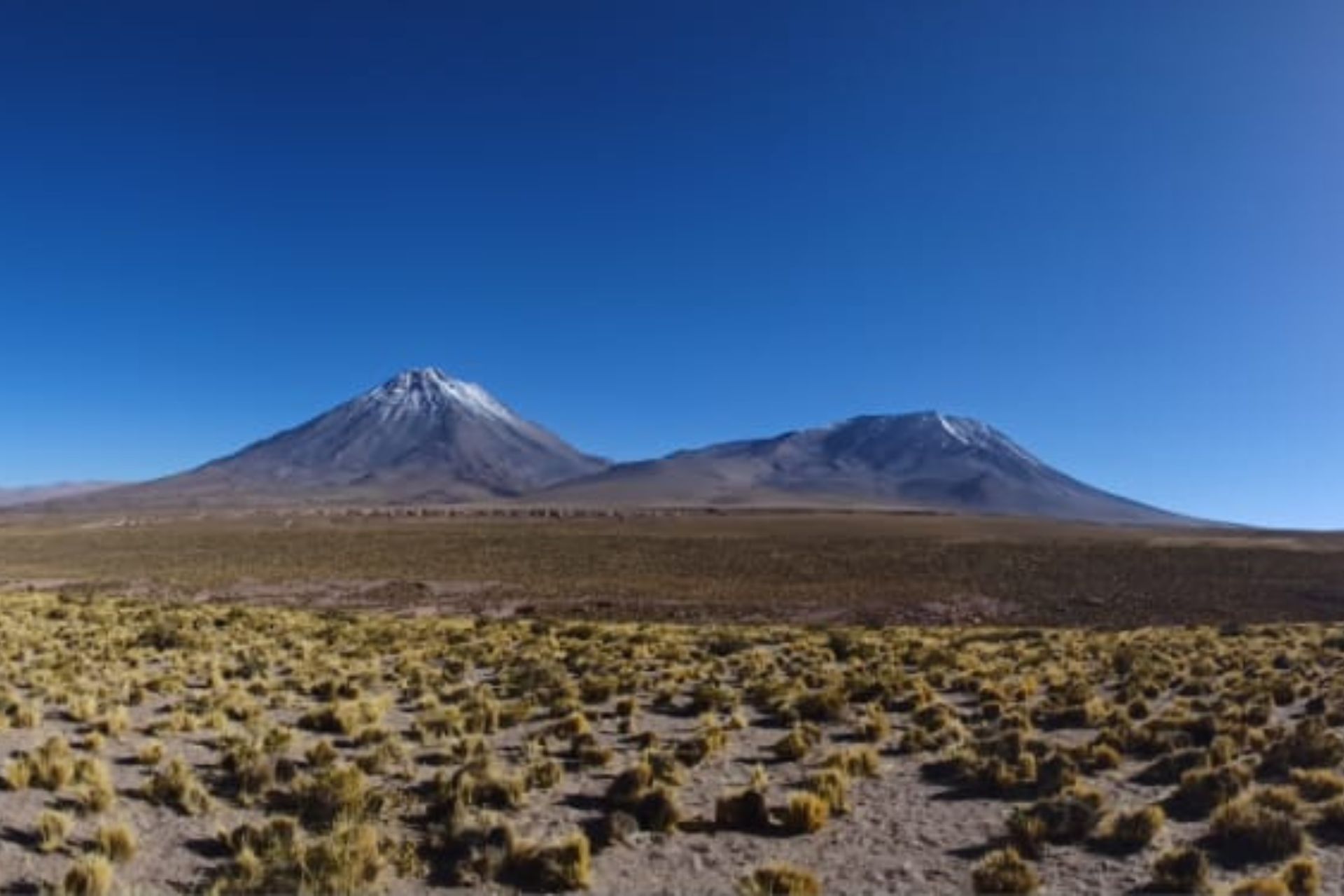 ruta de los salares san pedro de atacama
