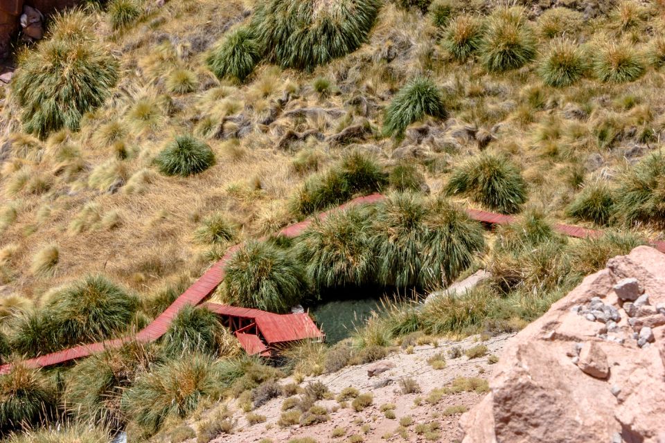 Termas de Puritama Termas de Puritama