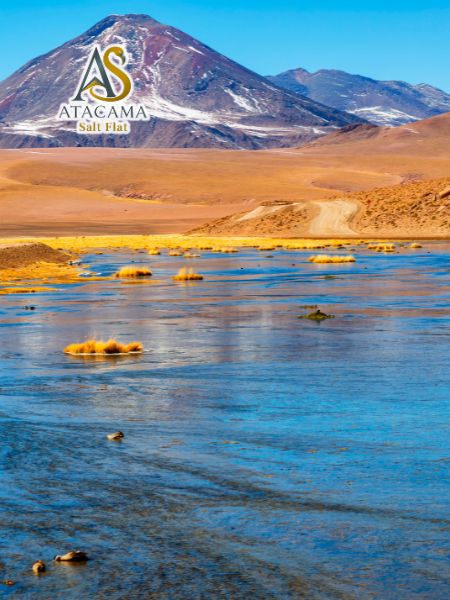Tour geyser del tatio, San Pedro de Atacama, Chile