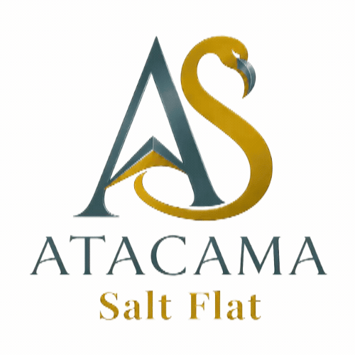 ATACAMA SALT FLAT SAN PEDRO DE ATACAMA